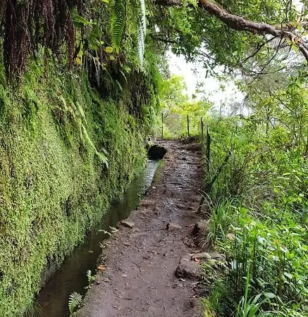 Farm stay Casa Da Tia Clementina Santana (Madeira)