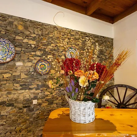ファームステイ Casa Da Tia Clementina サンタナ