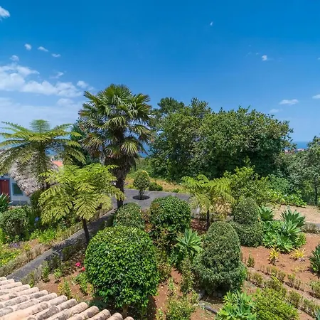 Casa Da Tia Clementina Alojamento de Turismo Rural