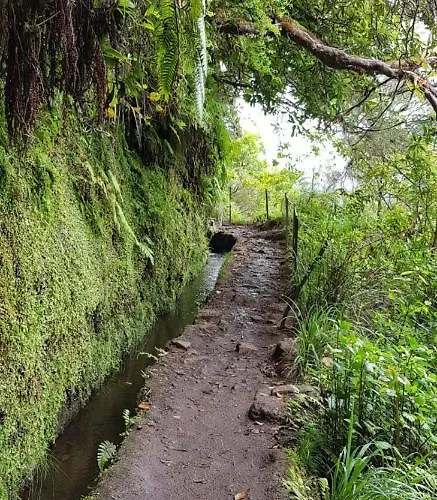 Agroturismo Casa Da Tia Clementina Santana (Madeira)